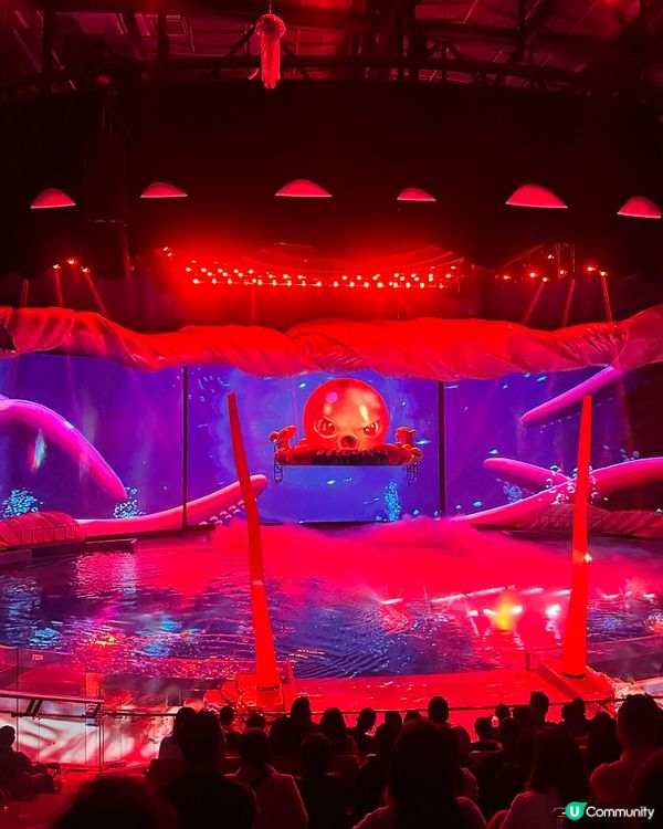 小梅沙 海洋世界   📍深圳遊 鹽田