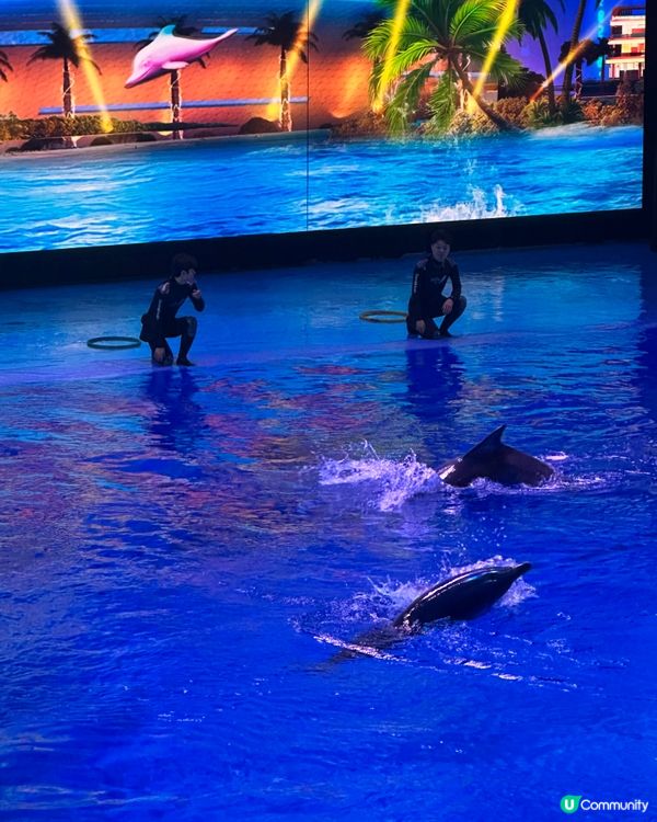 小梅沙 海洋世界   📍深圳遊 鹽田