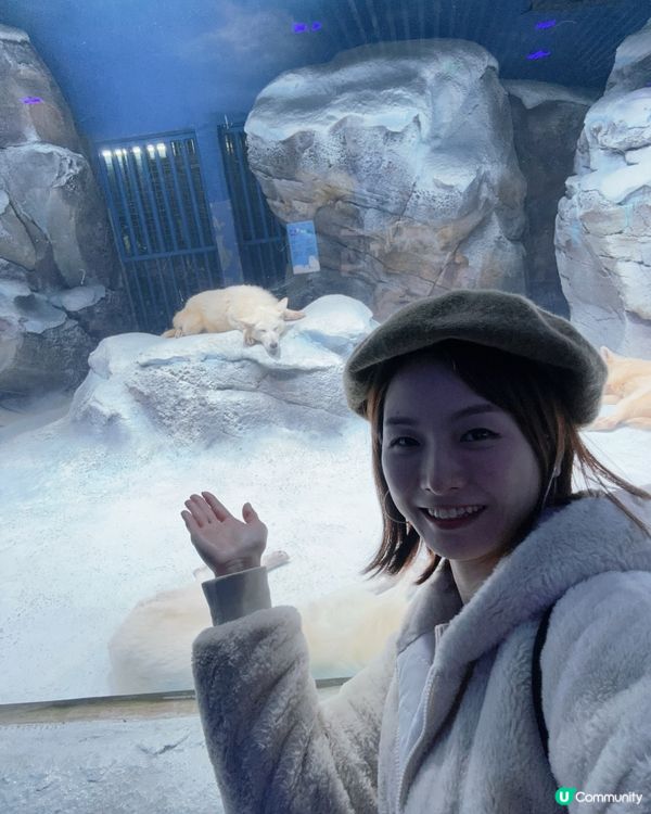 小梅沙 海洋世界   📍深圳遊 鹽田