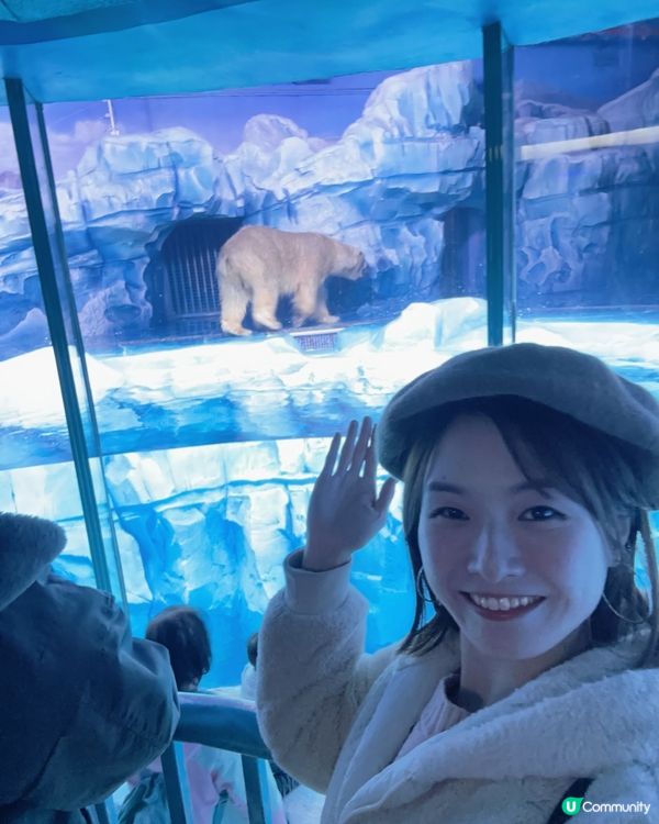 小梅沙 海洋世界   📍深圳遊 鹽田