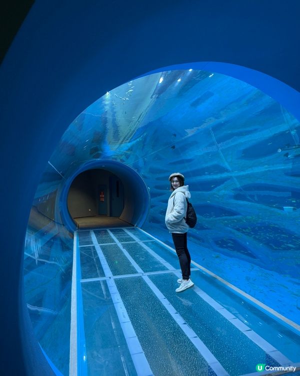 小梅沙 海洋世界   📍深圳遊 鹽田