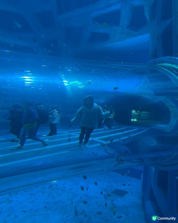 小梅沙 海洋世界   📍深圳遊 鹽田