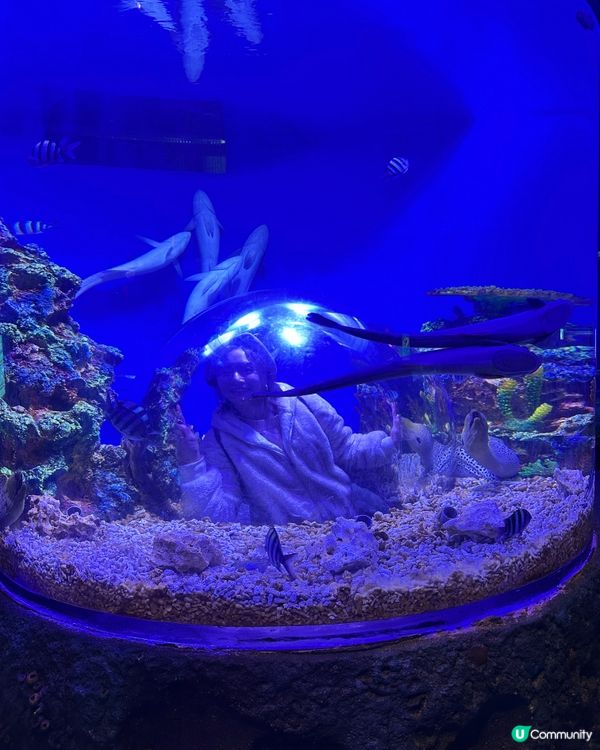 小梅沙 海洋世界   📍深圳遊 鹽田