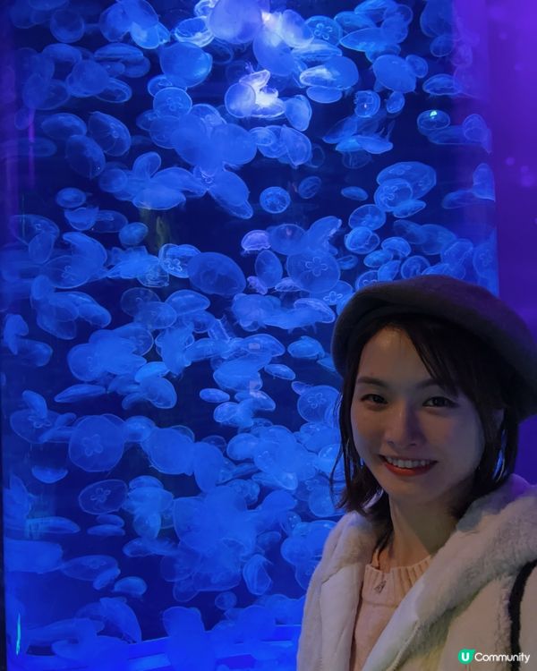 小梅沙 海洋世界   📍深圳遊 鹽田