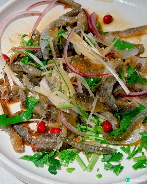 深圳必食順德菜😋 大榕樹下