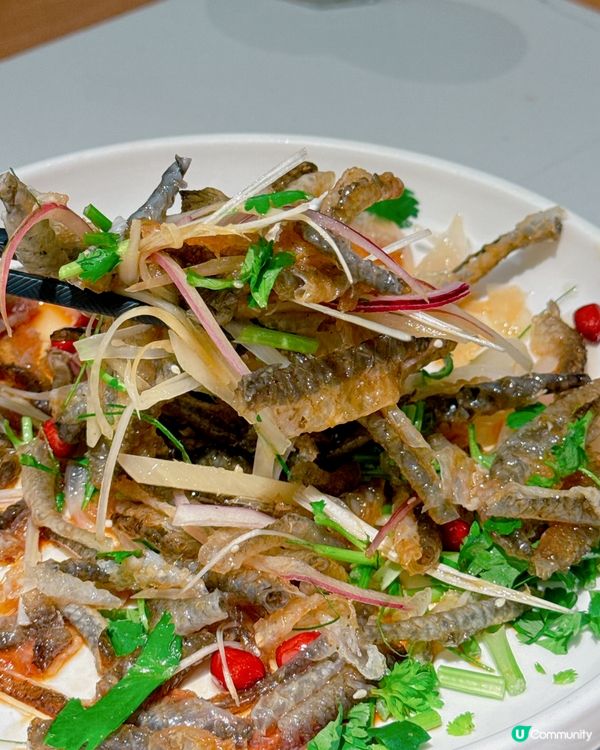 深圳必食順德菜😋 大榕樹下