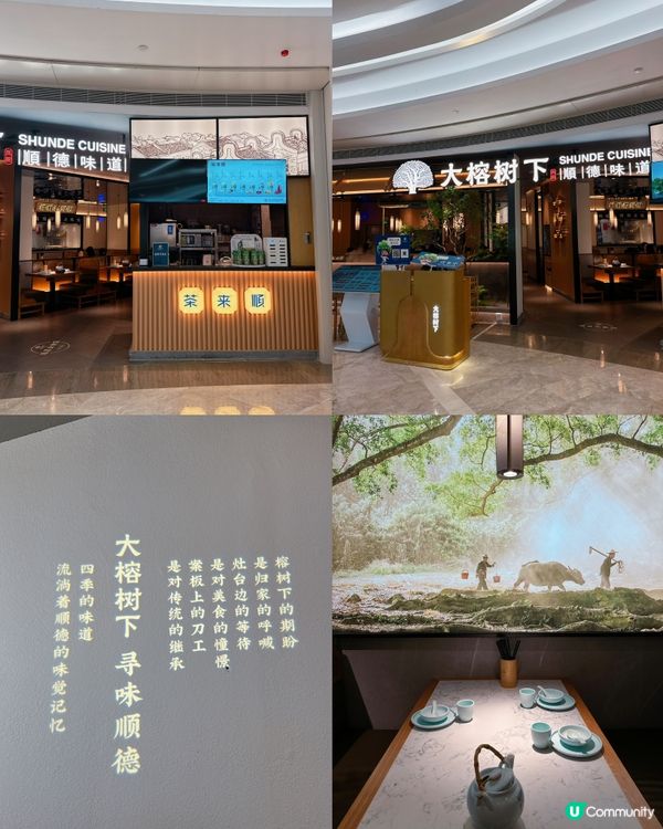 深圳必食順德菜😋 大榕樹下