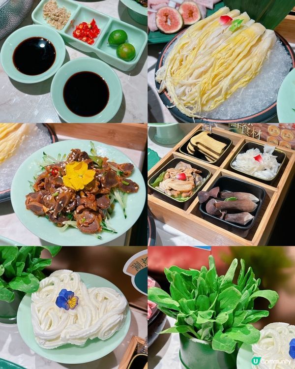 椰子雞湯火鍋🍲 正！