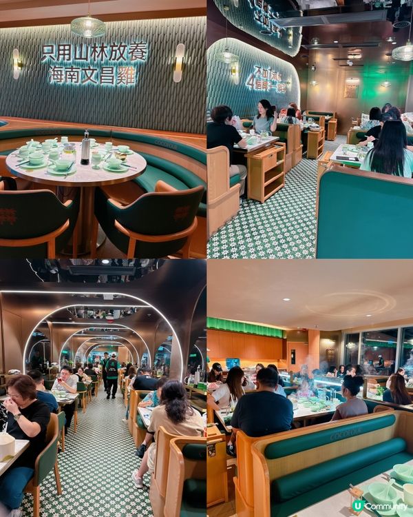 椰子雞湯火鍋🍲 正！