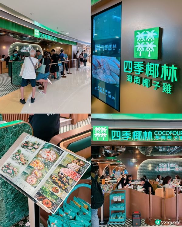 椰子雞湯火鍋🍲 正！