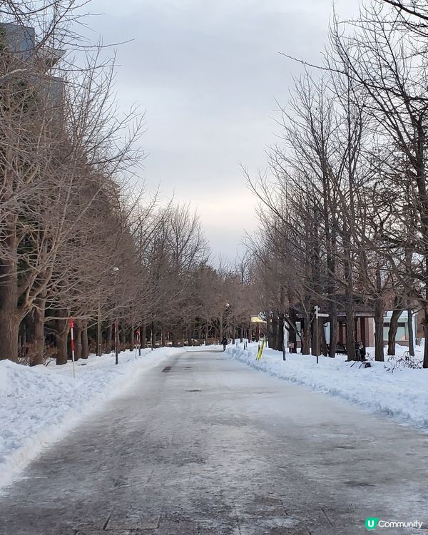 札幌市❄️中島公園❄️💙First Love💙取景地