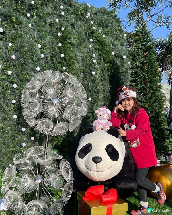 聖誕氣氛樂滿城🧑🏻‍🎄🎄鐘聲歌聲齊共慶🥳