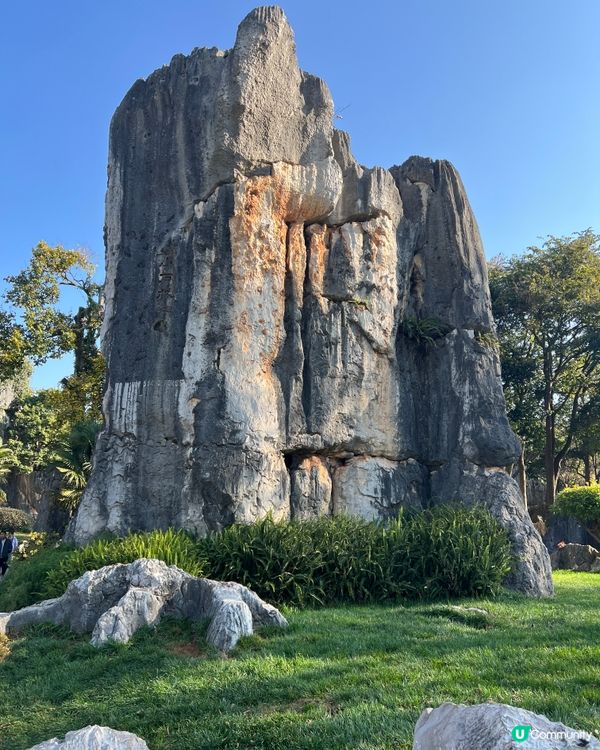 雲南石林之旅，打卡奇景！