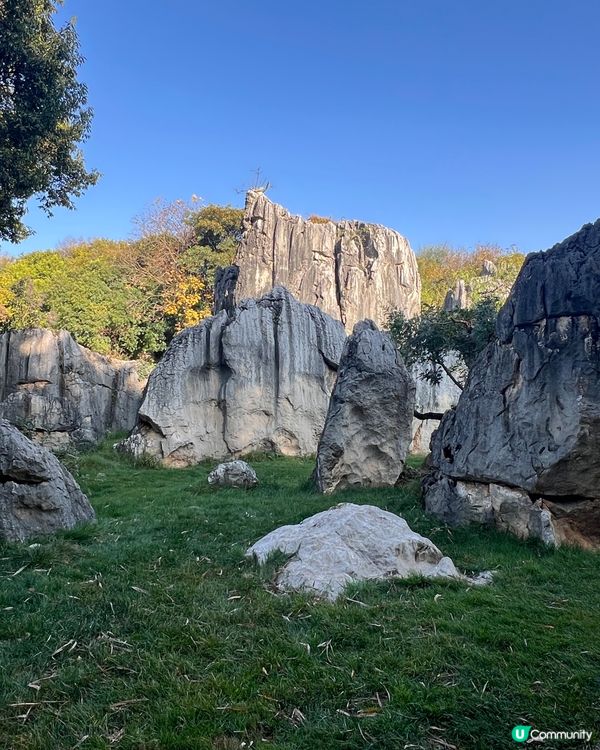 雲南石林之旅，打卡奇景！