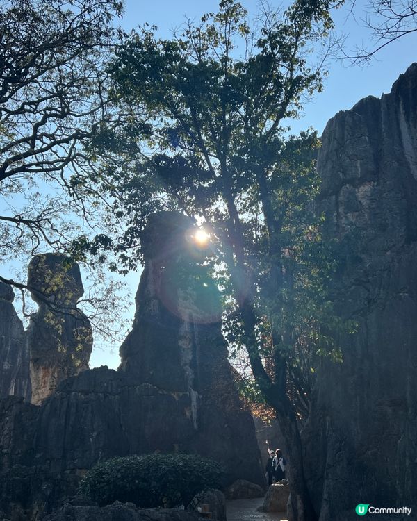 雲南石林之旅，打卡奇景！