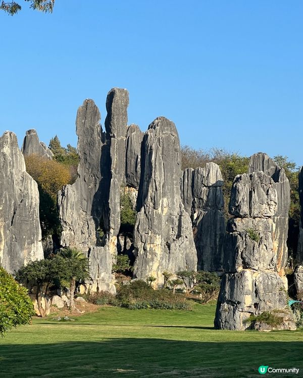 雲南石林之旅，打卡奇景！