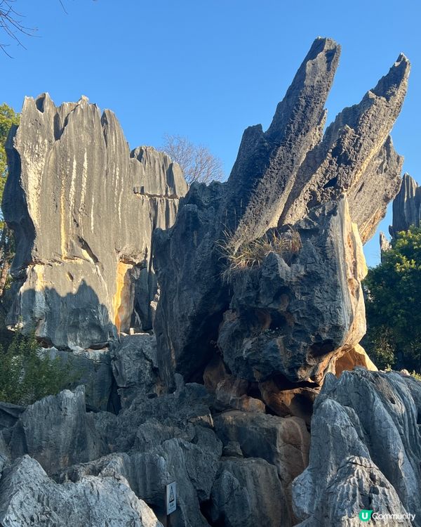 雲南石林之旅，打卡奇景！