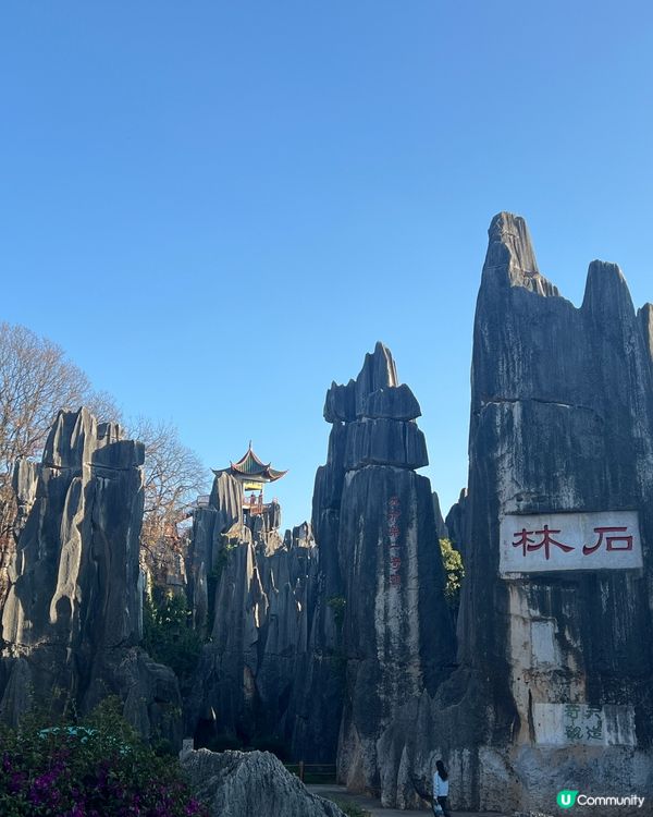 雲南石林之旅，打卡奇景！