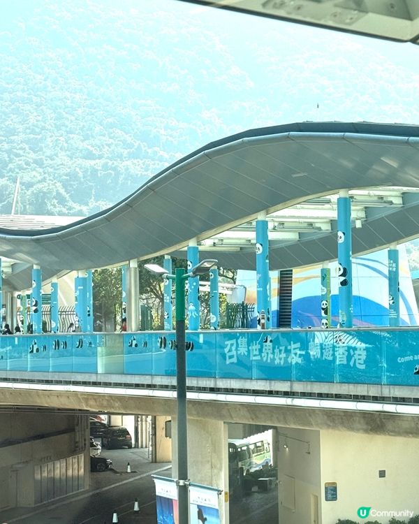 🐼可愛大熊貓打卡熱點📸｢大熊貓暢遊 MTR｣