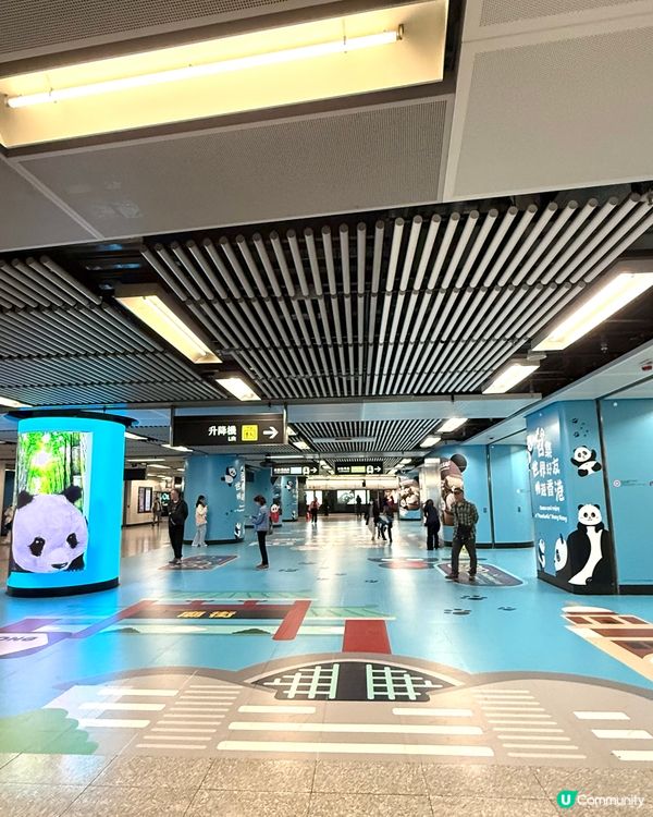 🐼可愛大熊貓打卡熱點📸｢大熊貓暢遊 MTR｣