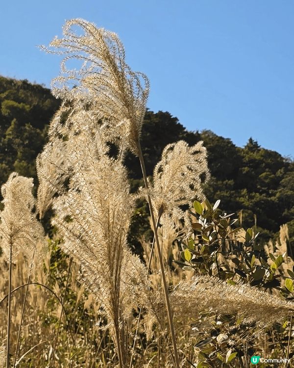 ## 紅花嶺⛰️靚景，新公園登場！🤩