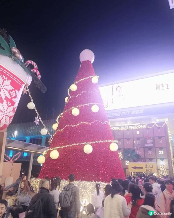去尖沙咀海港城打卡，是每年的指定活動。應節的燈飾，燦爛的燈光...
