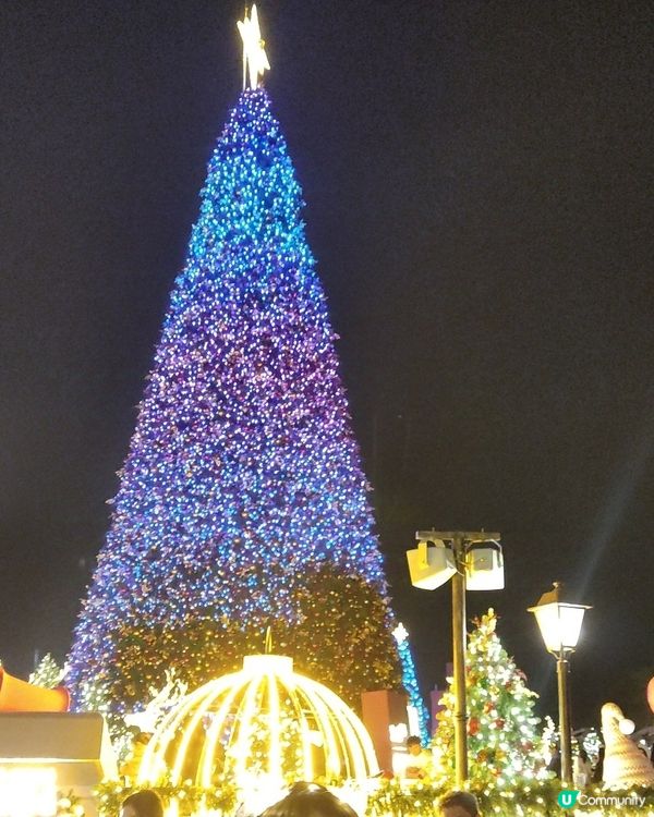 全城最Hit聖誕樹