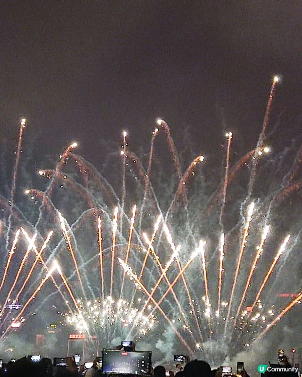 全城最Hit聖誕樹