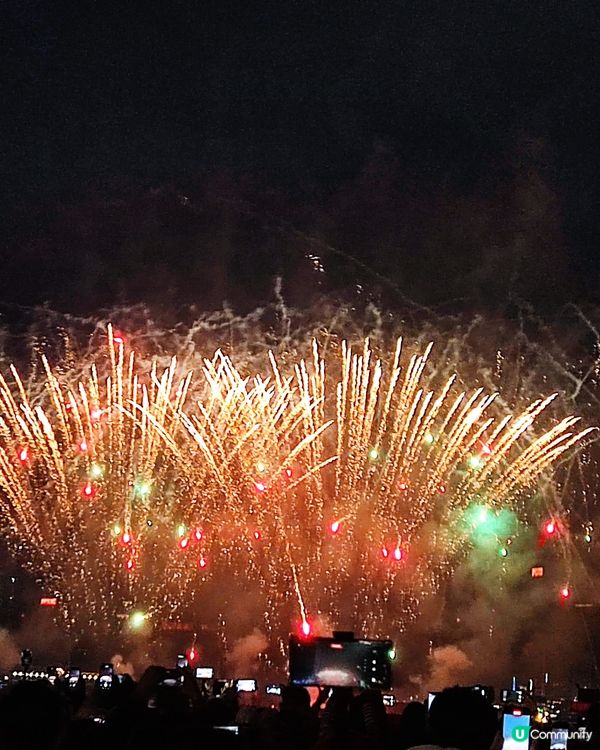 全城最Hit聖誕樹