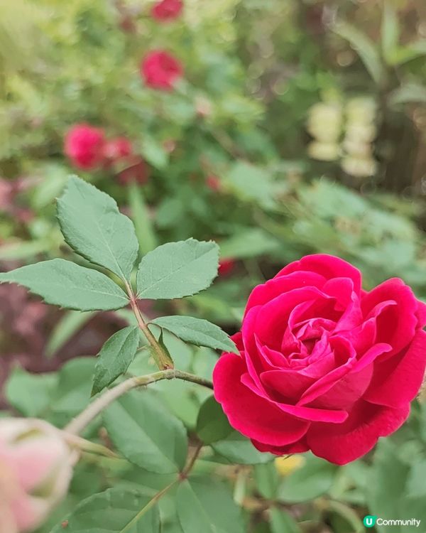 工展會多優惠食品。