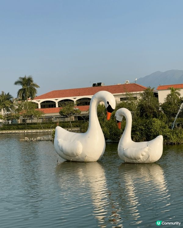 聖誕節去元朗錦綉花園朋友屋企開party先發現原來呢度有個天...