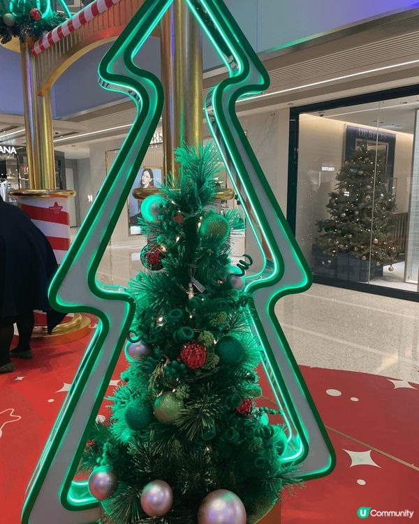 近排最Hit嘅一定係海洋公園嘅雙胞胎熊貓BB ，想同熊貓過聖...