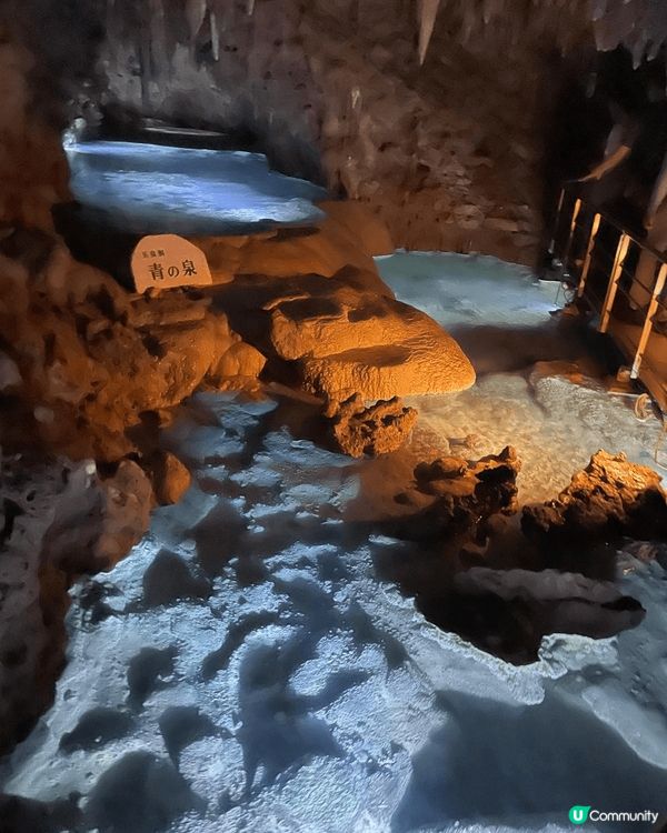 12月去過的地方，包括赤柱廣場「魔幻聖誕盛會」，香港迪士尼公...