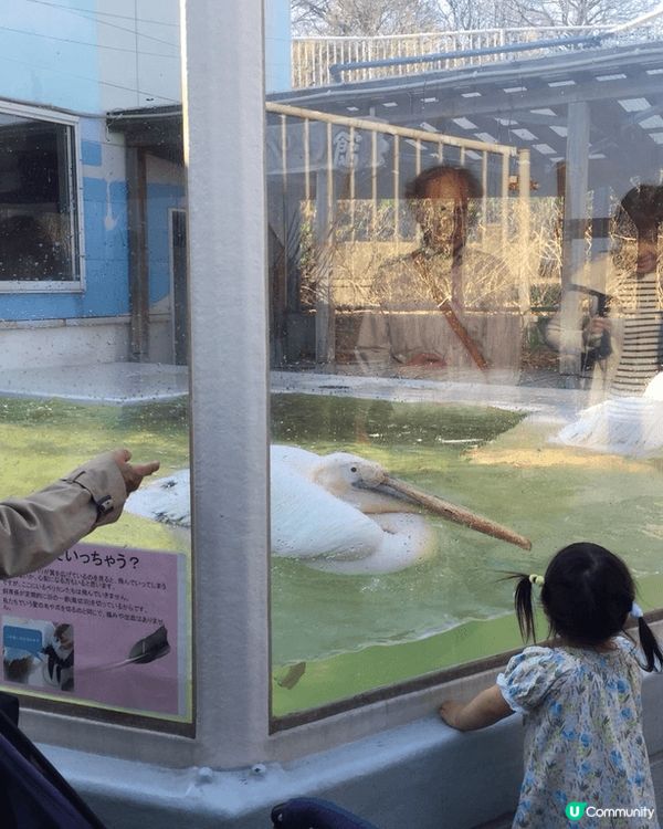 札幌動物園是一個令人放鬆且適合家庭遊玩的好地方。我最喜歡這裡...