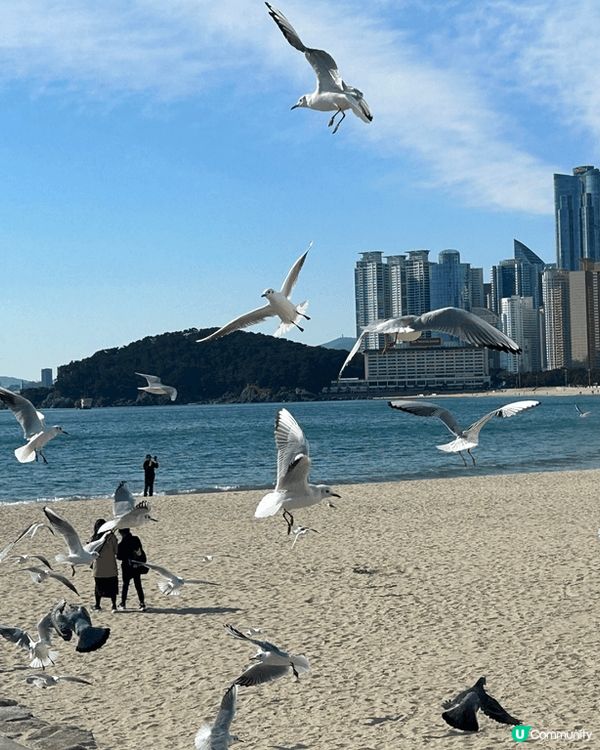 早幾日去咗南韓，自己搭火車落去釜山，去咗海雲臺，海灘好靚，超...