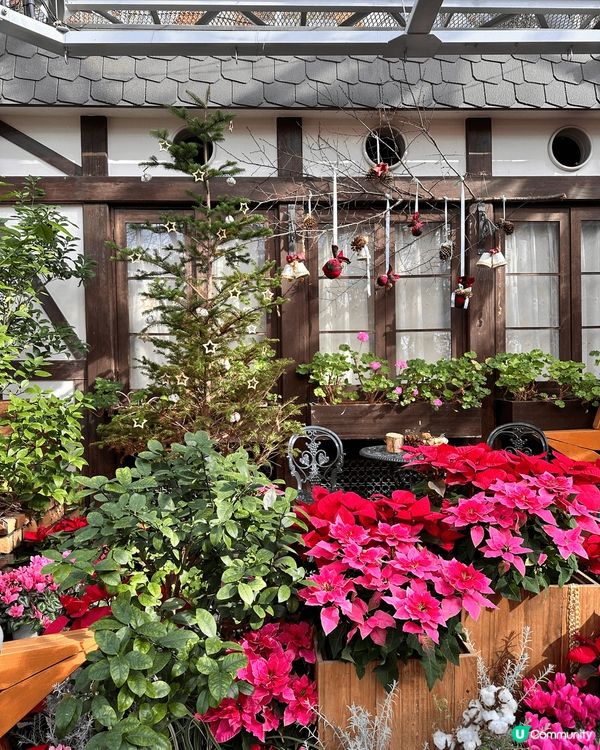 呢度係神戶既Nunobiki Herb Gardens。一年...