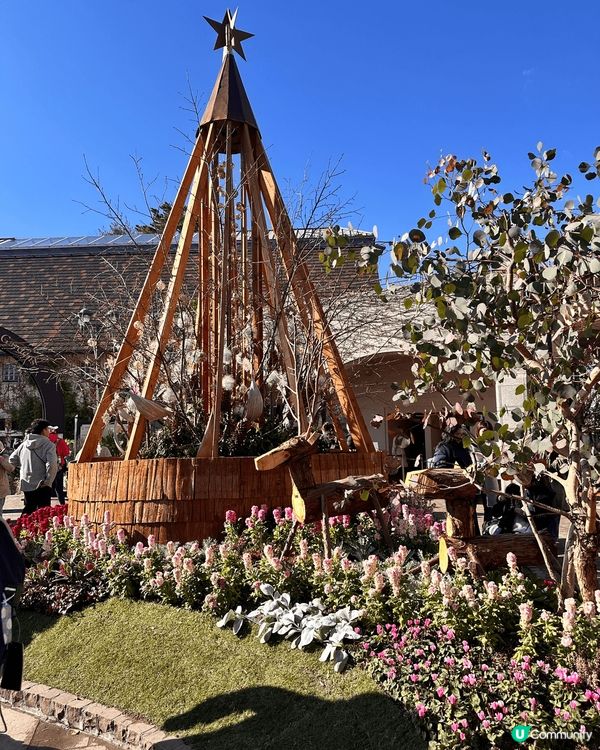 呢度係神戶既Nunobiki Herb Gardens。一年...