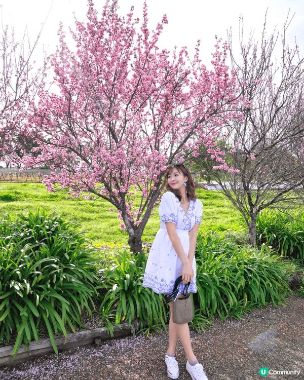 每年都充滿節日氣氛的地方，晚上打卡好靚，而且遊戲好玩同朋友去...