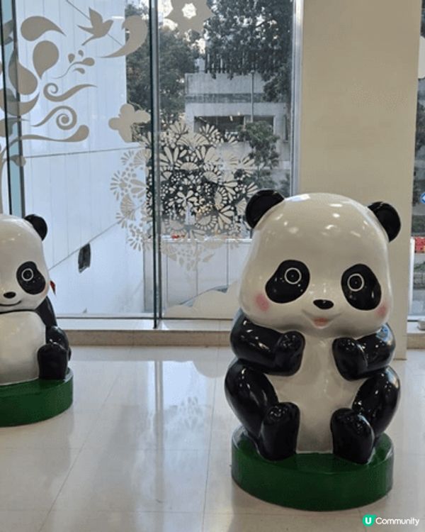 前幾日，我同家人一同到「大埔超級城」消費及遊玩，參與大埔超級...