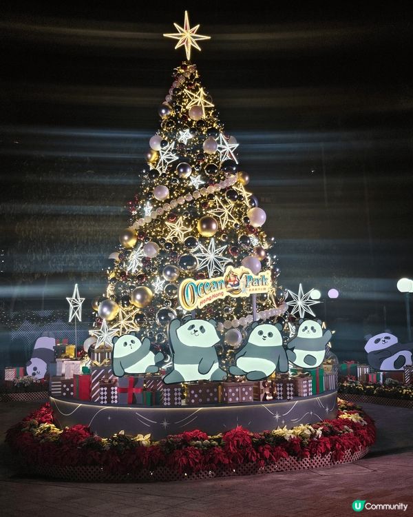 海洋公園今年有好多打卡位 大家可以去大熊貓竹夢之旅能感受沉浸...