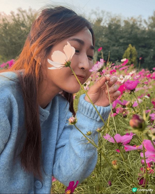 這裏是韓國的首爾天空公園 🌾