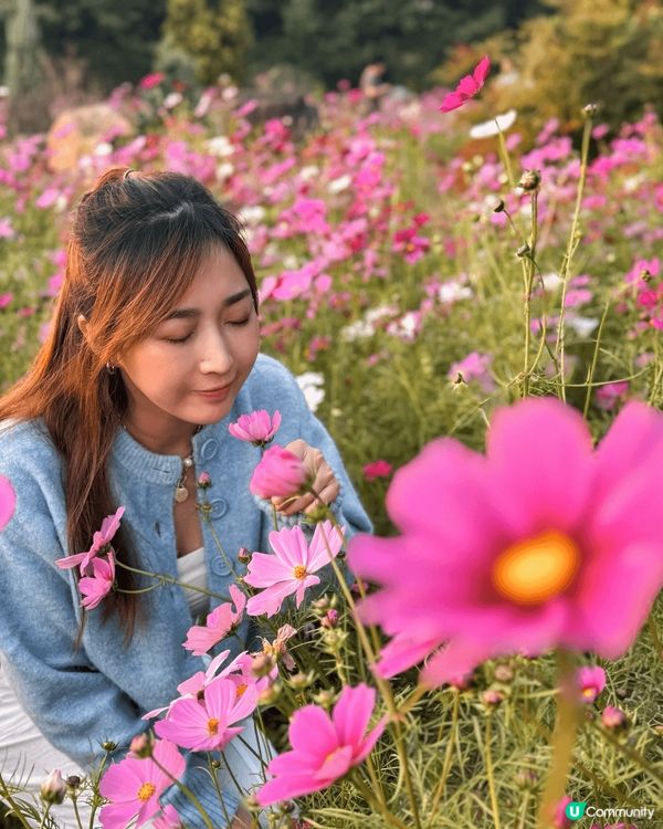 這裏是韓國的首爾天空公園 🌾