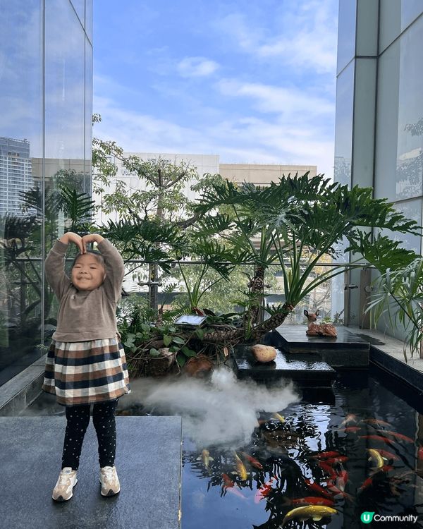 冬日親子深圳之旅，適合2日1夜，簡單易去，環境乾淨美觀，性價...