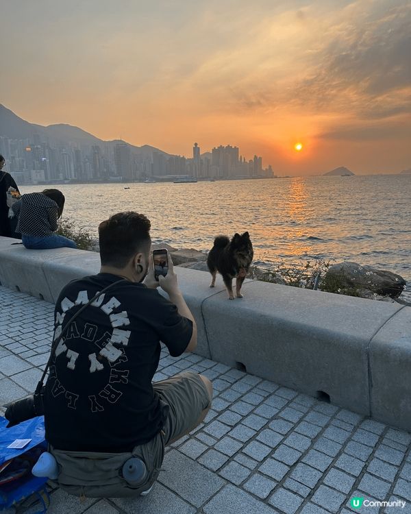 最適合打卡嘅地方 當然係香港 西九文化區呢個地方 最適合人寵...