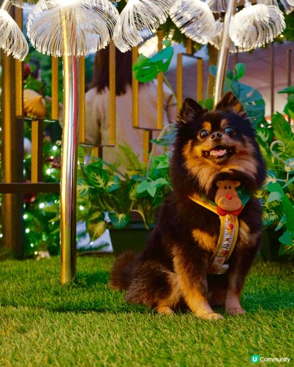 最適合打卡嘅地方 當然係香港 西九文化區呢個地方 最適合人寵...