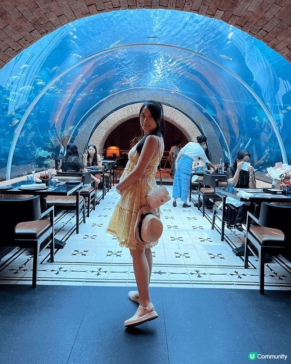 峇里島的koral海底餐廳，名貴的海底餐廳用餐，絕對打卡ab...