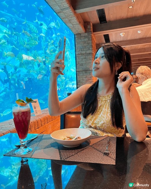 峇里島的koral海底餐廳，名貴的海底餐廳用餐，絕對打卡ab...