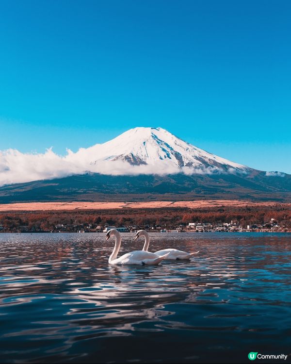 河口湖以能看到日本引以為傲的著名景觀「逆富士」而聞名。從東京...