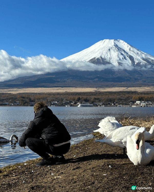 河口湖以能看到日本引以為傲的著名景觀「逆富士」而聞名。從東京...