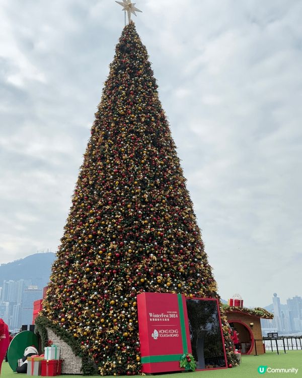 西九文化區聖誕主題.